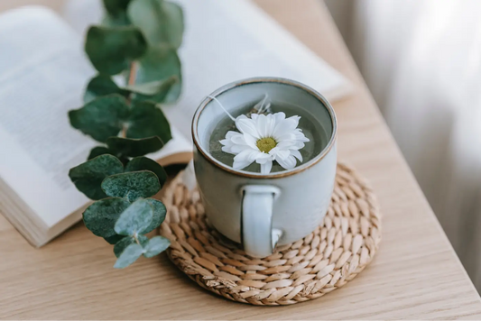 Quelle est la puissance de la camomille en infusion et ses bienfaits ?